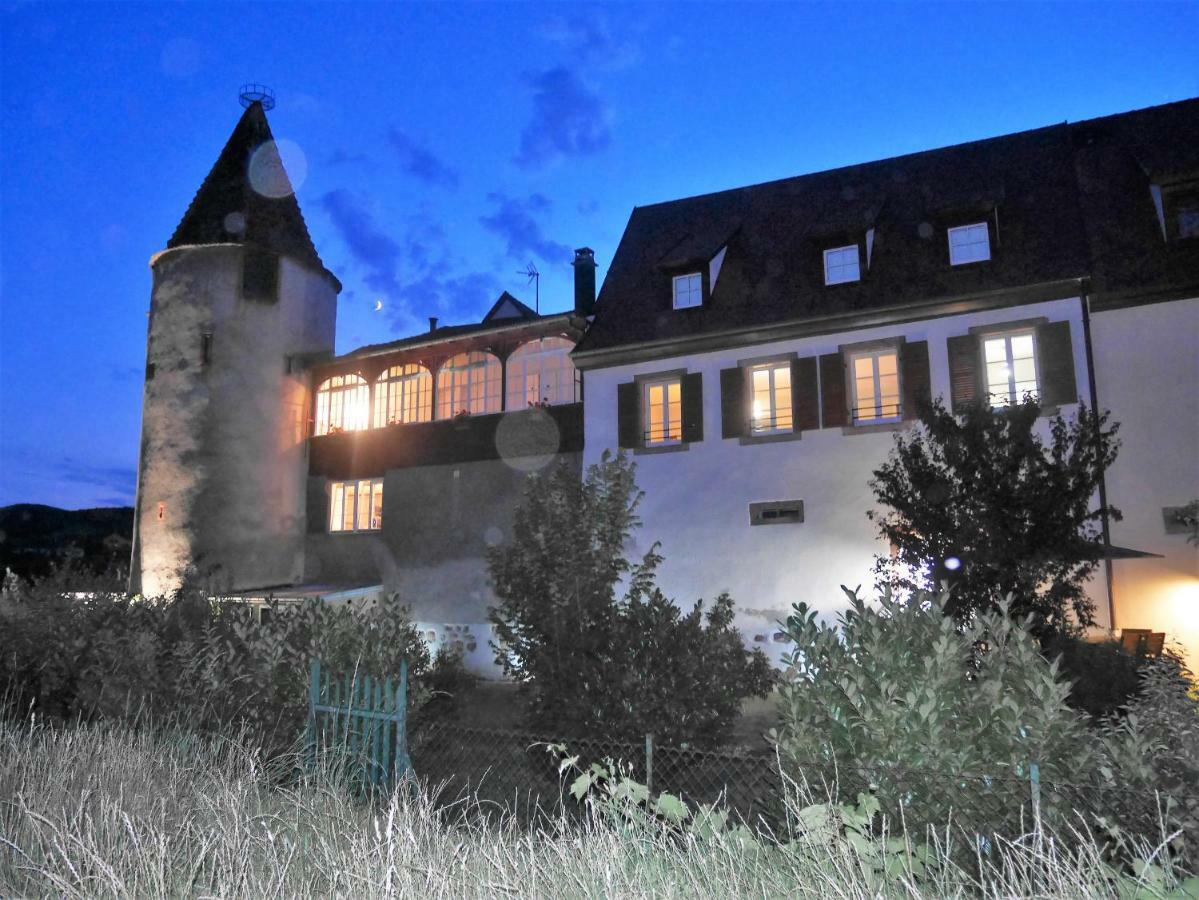 Les gîtes de la Tour, appartement La Plaine Saint-Hippolyte  Extérieur photo